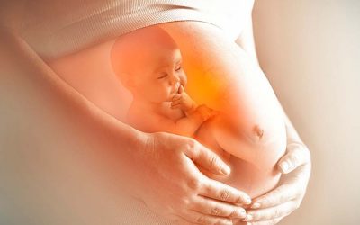 Ácido fólico durante el embarazo ¿Por qué tomarlo?